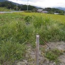 8月9日の日記
