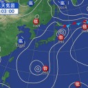 死滅したようです。　（作業中）