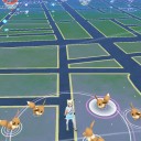 ポケモンGo　コミュニティデイ２　イーブイ