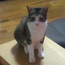 納骨堂、そこにはいないと、母が言う♪（盆だから）