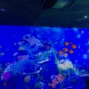 うみの杜水族館