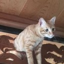 いまのわたしには・・・