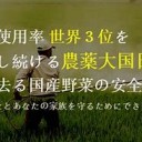 そうちょうから・・・・