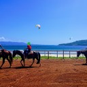 乗馬