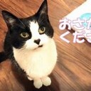 かわいい・・・