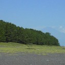 夏休み