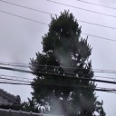 何年ぶり？！台風被害！