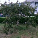 更に台風２１号の被害が・・・