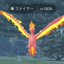 ポケモンGo　ファイヤーデイ