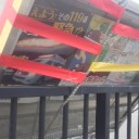 （追画像）