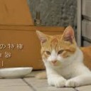 しじょうしゅぎ・・・