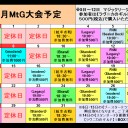 MTG《大会結果》９/２４『モダン/Modern』