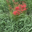 ２０１８年　１０月　自転車で走ると虫がよく顔に当たる時期