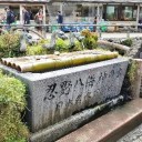 　連休最終日