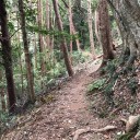 旅の乙女に 鳥も啼く
