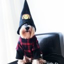 ブランドペット服 春秋冬 新発売 ドッグウェア