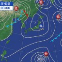 昨日、沖縄本島北部の今帰仁で【 セミと 桜 】。　（作業中）