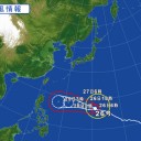 昨日、沖縄本島北部の今帰仁で【 セミと 桜 】。　（作業中）