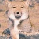 やはり・・・
