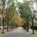 諸々の話（11/1）