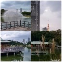 日本庭園とビル群