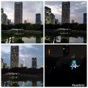 日本庭園とビル群