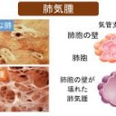 きのうは・・・