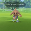 11月　ポケ活中心な今日この頃