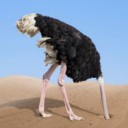 【 「Ｈ７Ｎ９」型 鳥インフル 】／飛まつで拡散するウイルス／皮膚が剥がれ落ちると…。