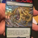 公式がコモン抜きパック発売とか拡張アートマスターズ（？）とか、月曜日だってのに色々と仕掛けてきたな……！