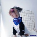 人気のチャンピオン ワンちゃん洋服がバリエ豊富で安い！hihikaba通販
