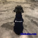 人気のチャンピオン ワンちゃん洋服がバリエ豊富で安い！hihikaba通販