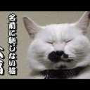 おきにいり・・・