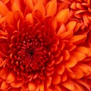 re