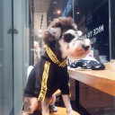 激安おしゃれ ペット犬服通販