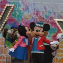 TDR～シー