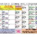 【MTG】11月18日(日)日曜モダン【大会結果】
