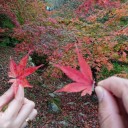 御船山楽園