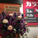 「ガラスの仮面」展  仙台文学館