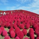 心を和ませる壮大さ