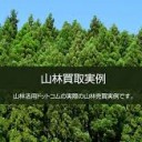 かってに・・・