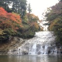 バスツアー  紅葉とイルミネーション