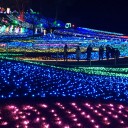 バスツアー  紅葉とイルミネーション