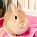 「あれ？なにこの数値」／沈黙する日本のマスコミ。 ／35歳↑から急に昭和思考な男性が増えます…。　（終）