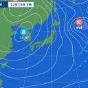 【異常です。】／たんぽぽやアザミなども狂い咲きしていると。　（未OTL）