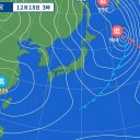 大雨が続いたサウジアラビアで、砂漠が「広大な緑の大地」に。　（未中津）