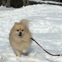 2019あけました