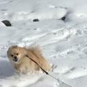 2019あけました