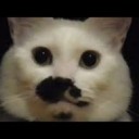 いろいろあるだろうけど・・・