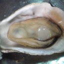 牡蠣の鉄板焼き